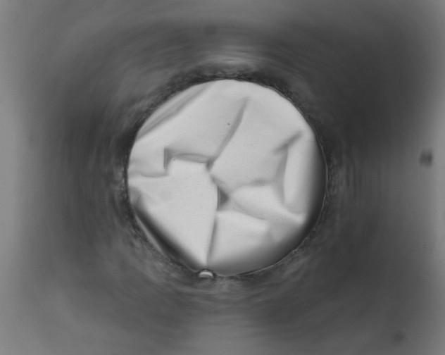 X0000113201109200910081245