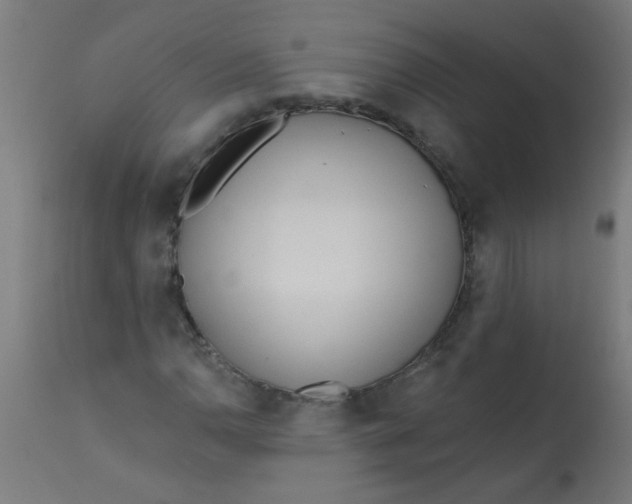 X0000113201110200910081245