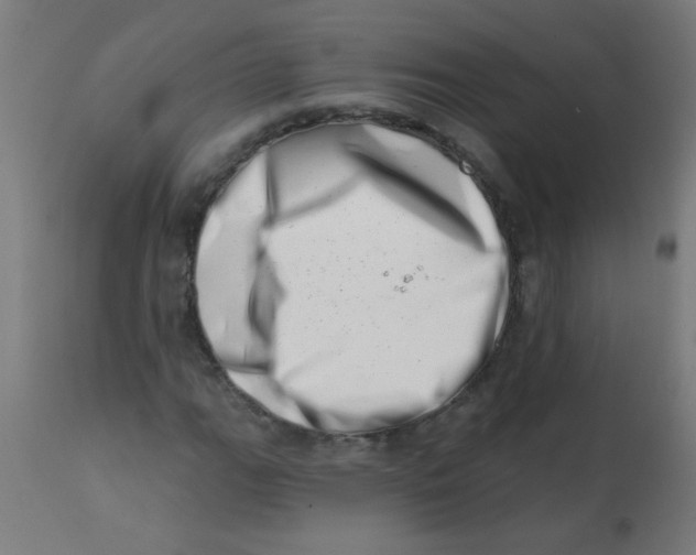 X0000113201111200910081245