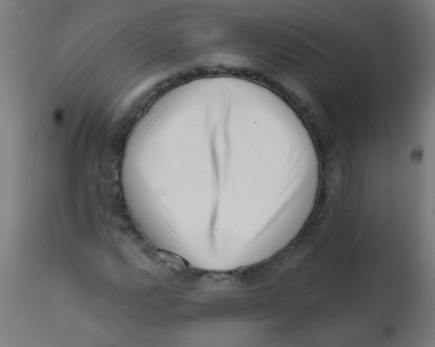 X0000113201112200910081245