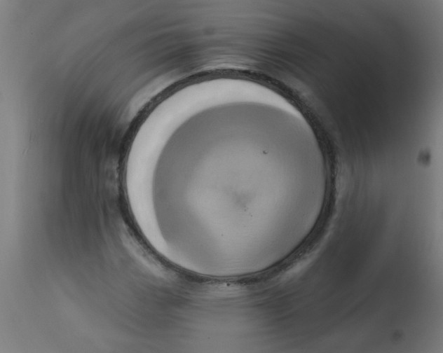 X0000113201113200910081245