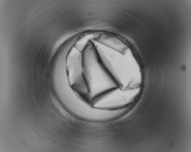 X0000113201114200910081245