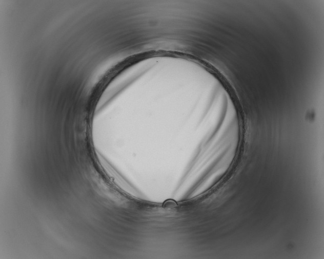 X0000113201115200910081245