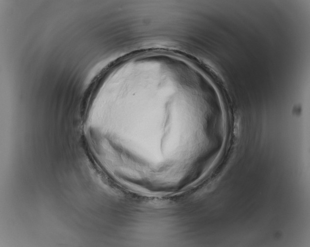 X0000113201117200910081245