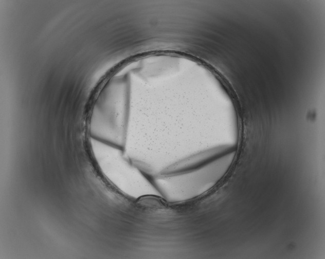 X0000113201119200910081245