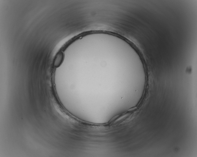 X0000113201120200910081245