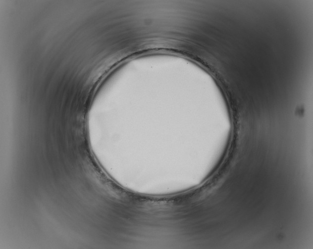 X0000113201121200910081245