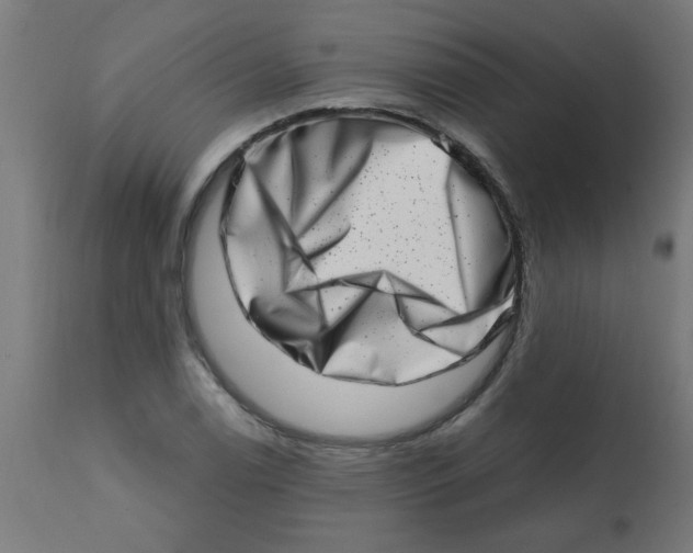 X0000113201122200910081245