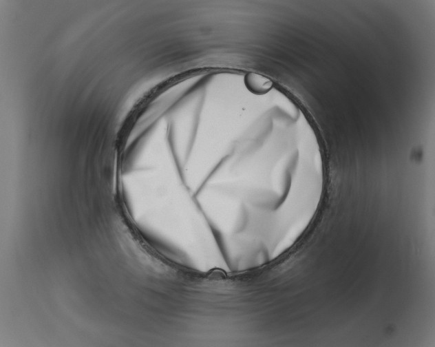 X0000113201123200910081245