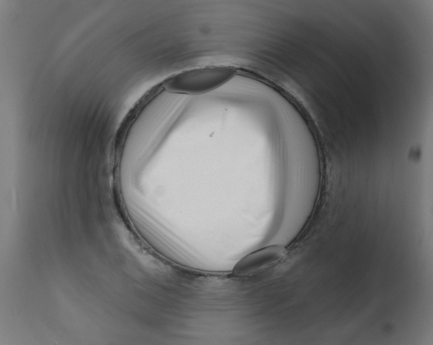 X0000113201124200910081245