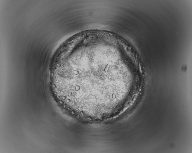 X0000113201125200910081245