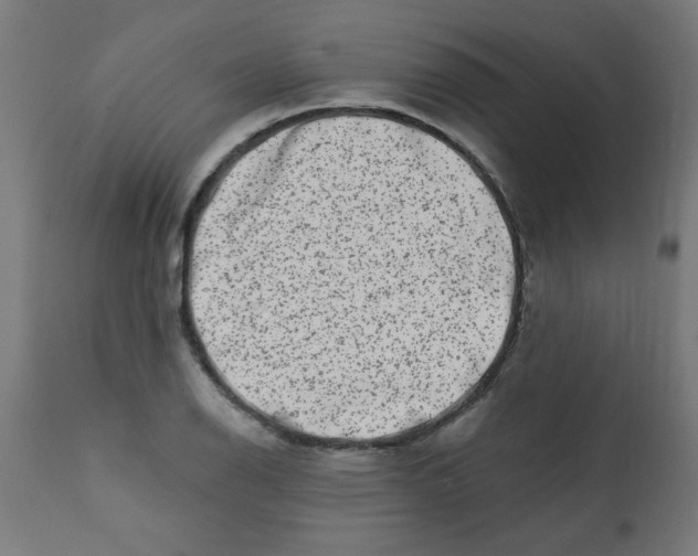 X0000113201126200910081245