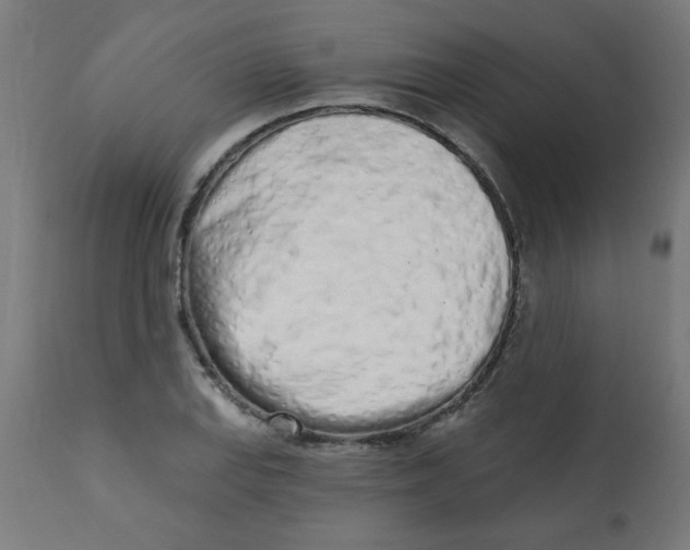 X0000113201127200910081245