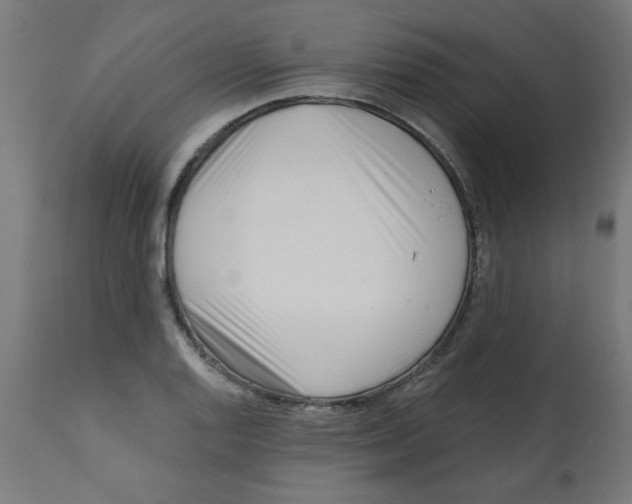 X0000113201128200910081245