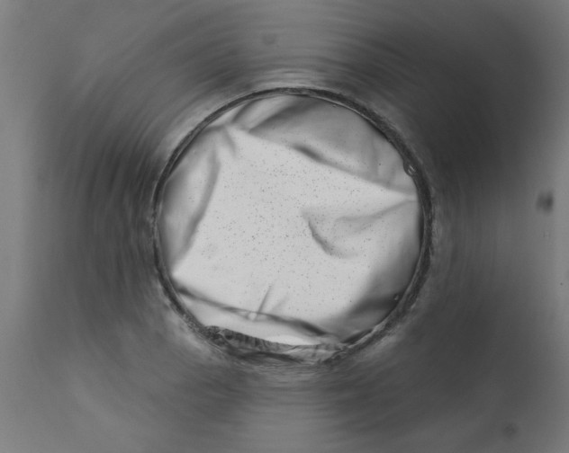 X0000113201129200910081245