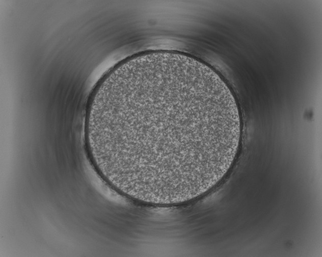 X0000113201130200910081245