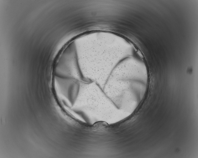 X0000113201131200910081245