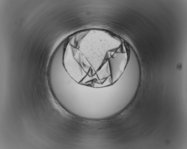 X0000113201132200910081245