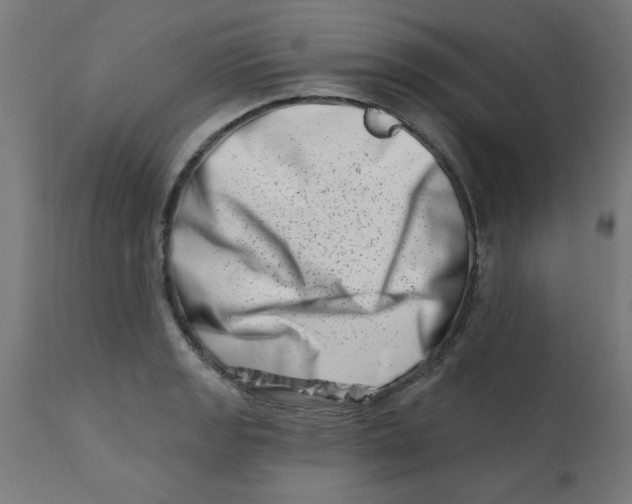 X0000113201133200910081245