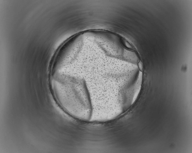 X0000113201135200910081245