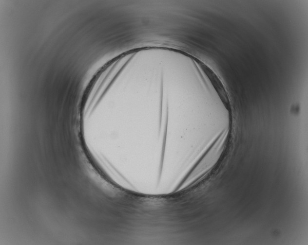 X0000113201136200910081245