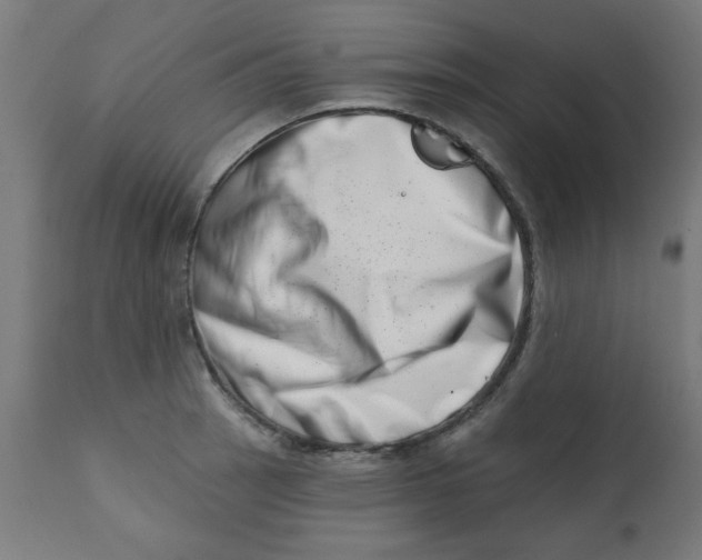 X0000113201137200910081245