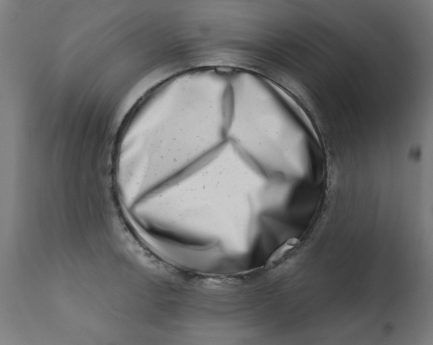 X0000113201138200910081245