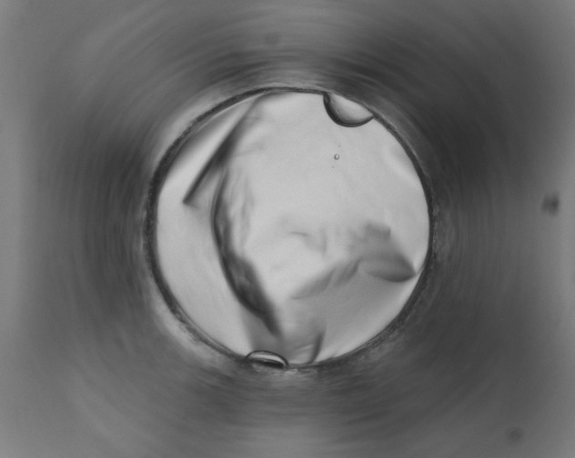 X0000113201139200910081245