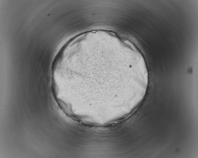 X0000113201140200910081245