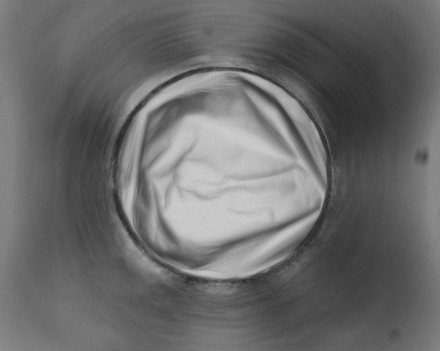 X0000113201141200910081245