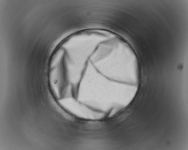 X0000113201142200910081245