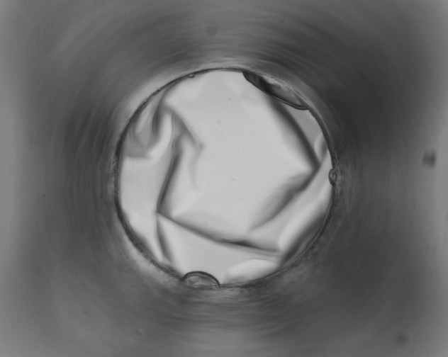 X0000113201143200910081245