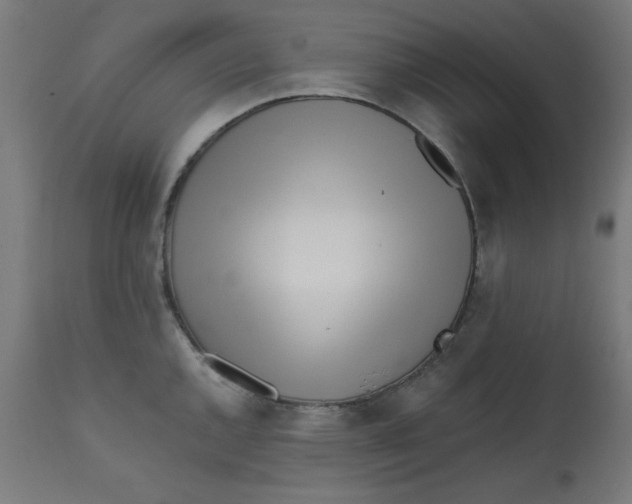 X0000113201144200910081245