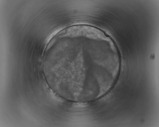 X0000113201145200910081245