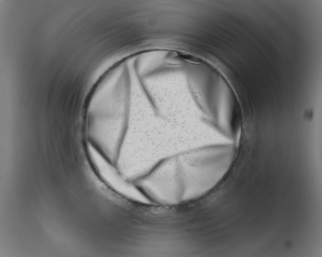 X0000113201147200910081245