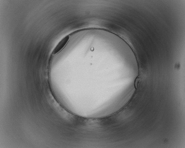X0000113201148200910081245