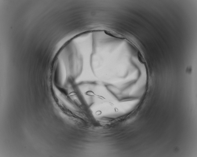 X0000113201149200910081245