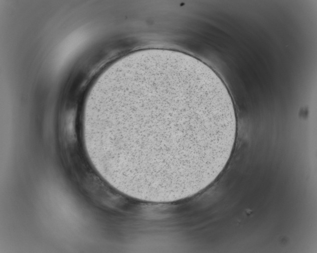 X0000113201150200910081245