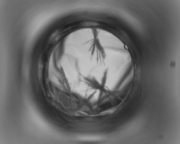 X0000113201151200910081245
