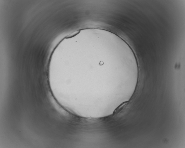 X0000113201152200910081245