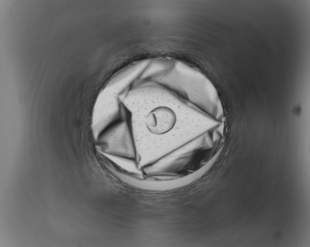 X0000113201153200910081245