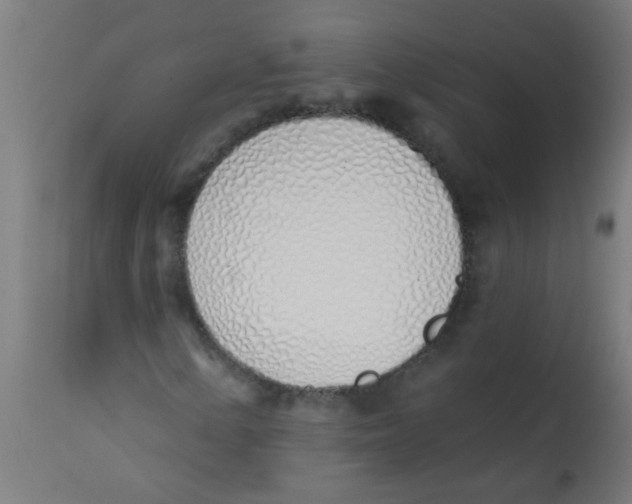 X0000113201154200910081245