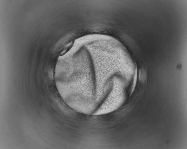 X0000113201155200910081245