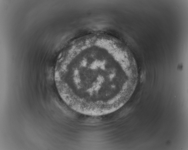 X0000113201156200910081245