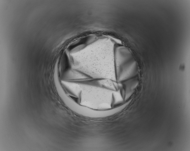 X0000113201157200910081245