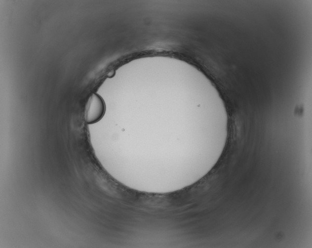 X0000113201158200910081245