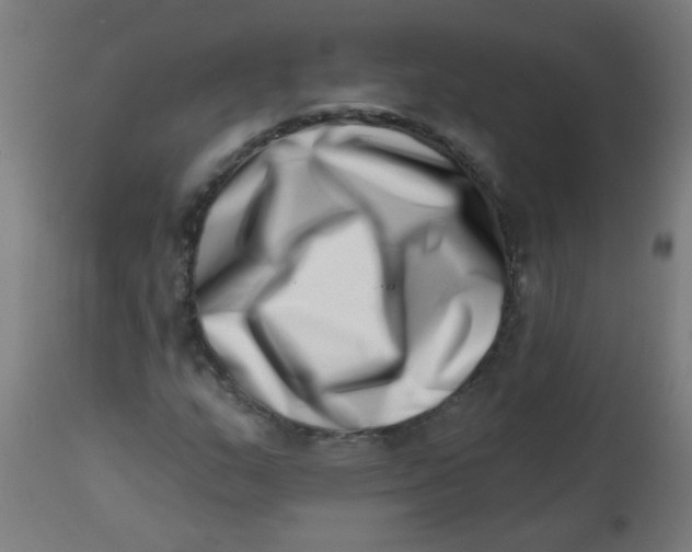 X0000113201159200910081244