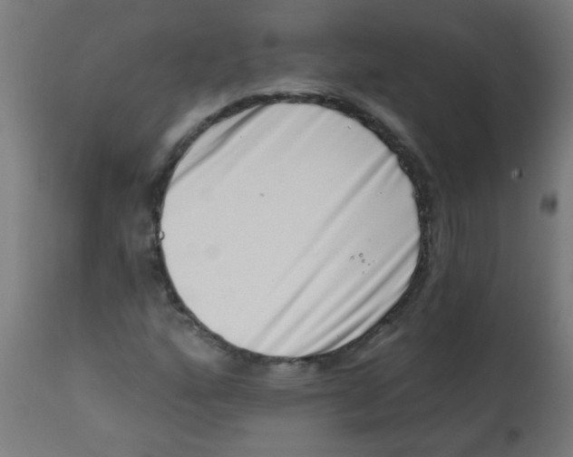 X0000113201160200910081244