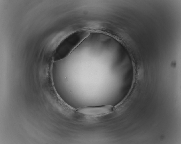 X0000113201161200910081244