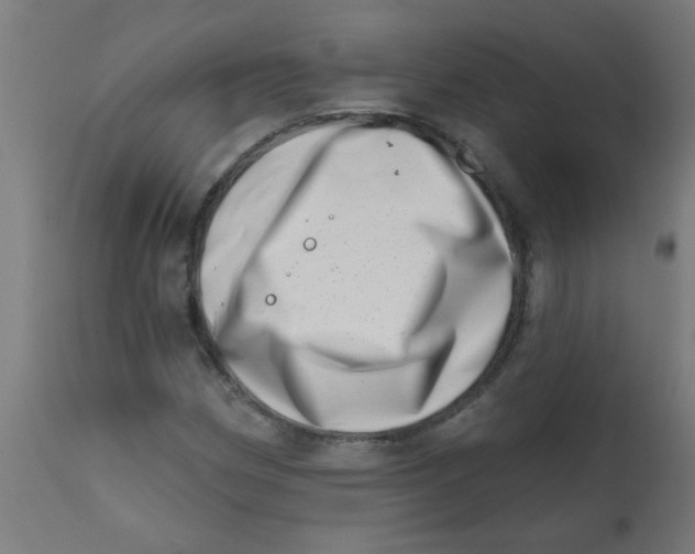 X0000113201162200910081244